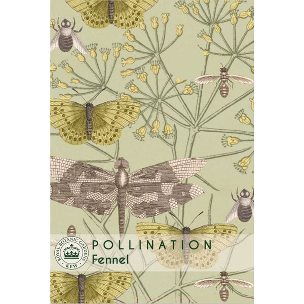 Fennel - Kew Pollination Collection