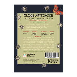 Globe Artichoke 'Green Globe Improved' F1 Hybrid - Kew Pollination Collection