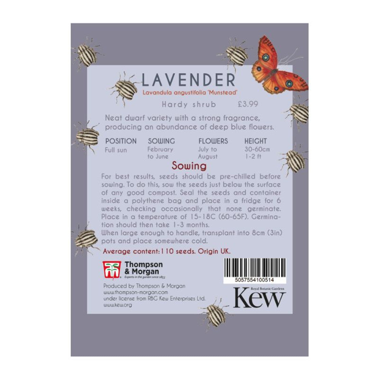 Lavender 'Munstead' - Kew Pollination Collection