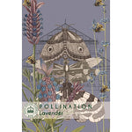 Load image into Gallery viewer, Lavender &#39;Munstead&#39; - Kew Pollination Collection
