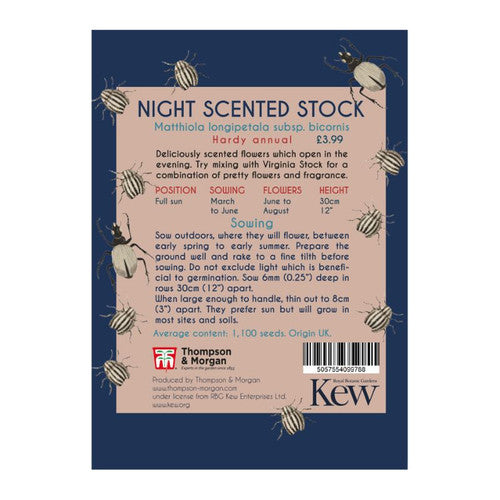Stock 'Night Scented' - Kew Pollination Collection