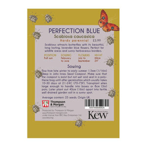 Scabious Perfection Blue - Kew Pollination Collection