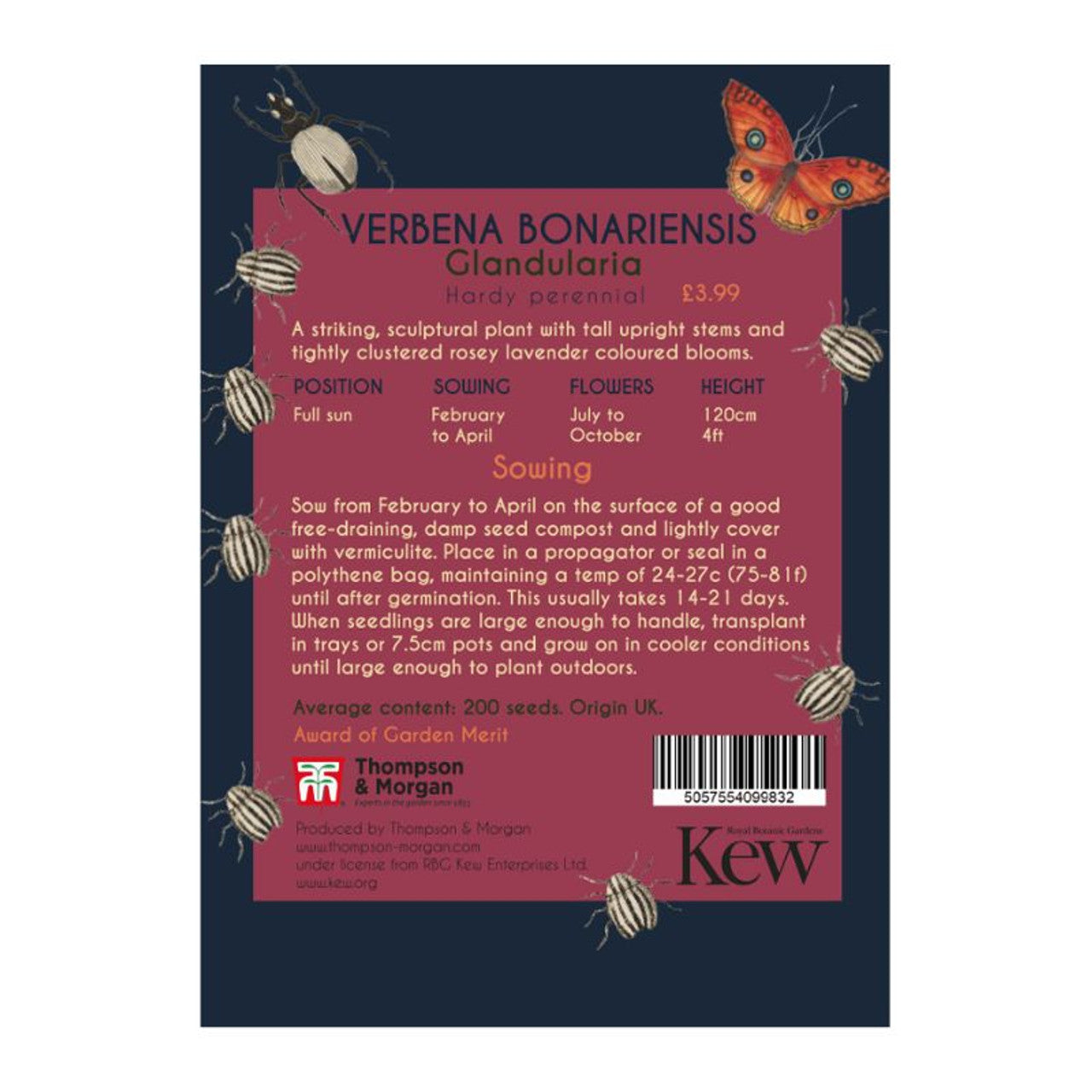 Verbena - Kew Pollination Collection
