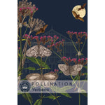 Load image into Gallery viewer, Verbena - Kew Pollination Collection
