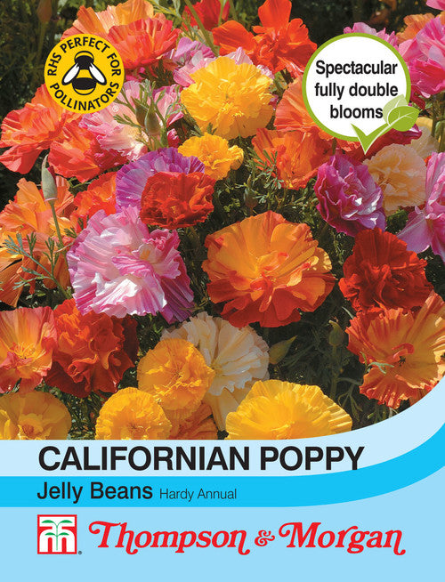 Californian Poppy Jelly Beans S9-M5