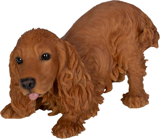 Active Pups Golden Red Cocker Spaniel D Keans Claremorris