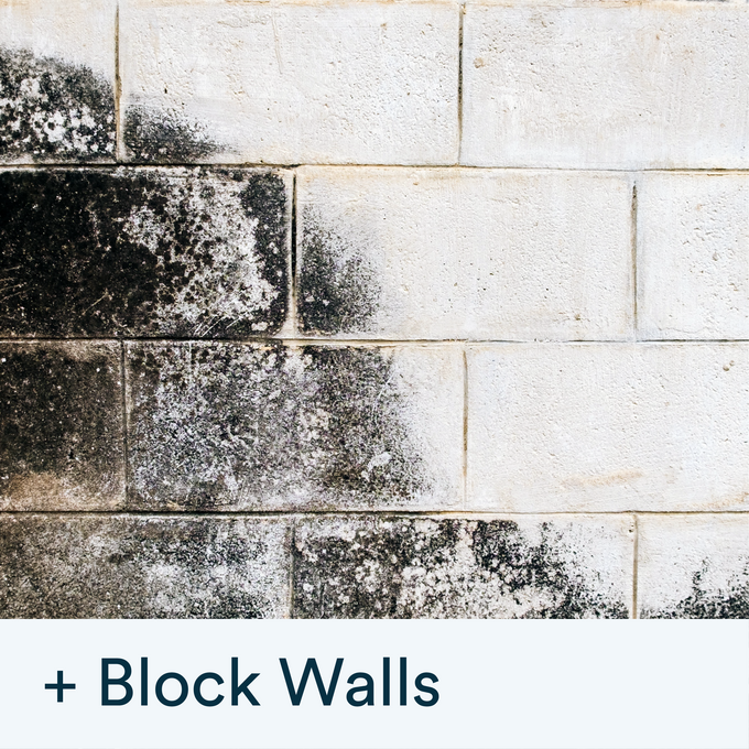 Actiwash Domestic Biocide removing red & green algae, mould, fungi – available at Keans Claremorris