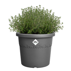 Algarve Cilindro Anthracite