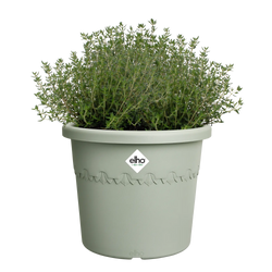 Algarve Cilindro Thyme Green