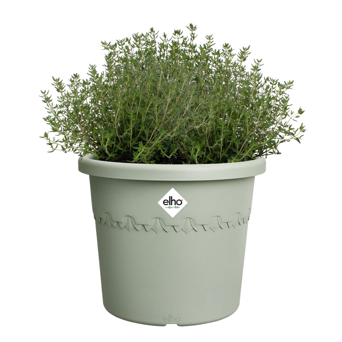 Algarve Cilindro Thyme Green - Image 3