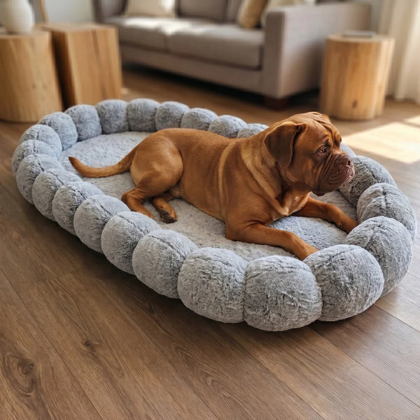 Alice & Co - Beverley Bed - Grey Keans Claremorris