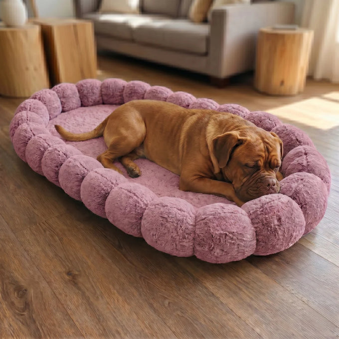 Alice & Co  - Beverley Bed - Pink Keans Claremorris
