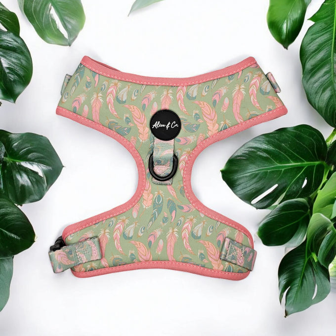 Alice & Co - Harness -  Dream Catcher XS Keans Claremorris