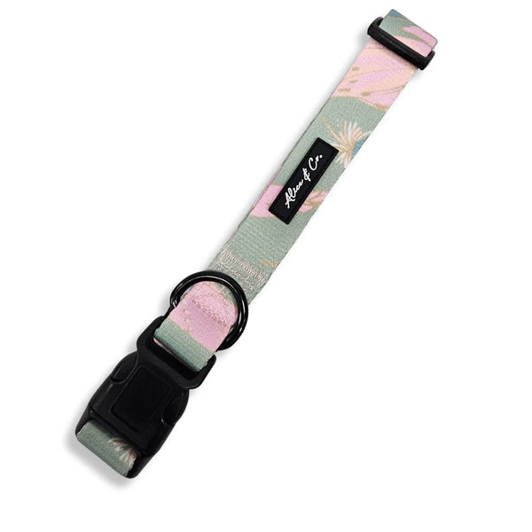 Alice & Co Dream Catcher Collar Medium Keans Claremorris