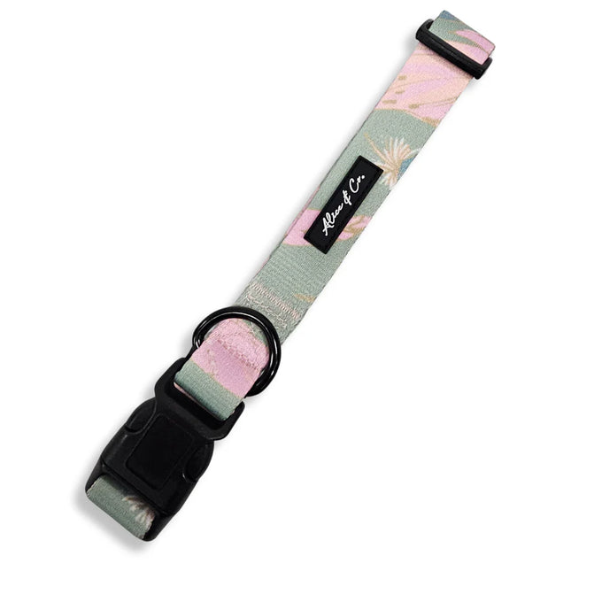 Alice & Co Dream Catcher Collar Medium Keans Claremorris