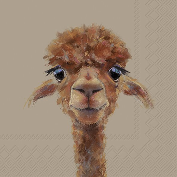 Alpaca Fernando Brown Lunch Napkins Keans Claremorris