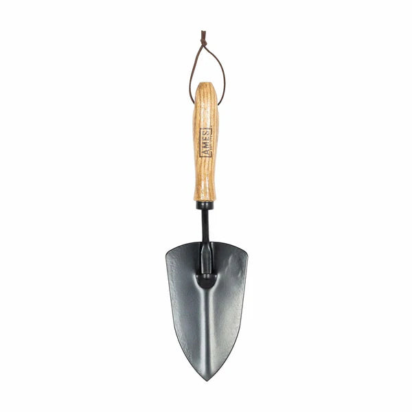 Ames Hand Trowel - Carbon Steel Keans Claremorris