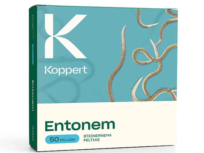 Entonem Nematodes - 50 Million BIO04610 Steinernema Feltiae - Image 1