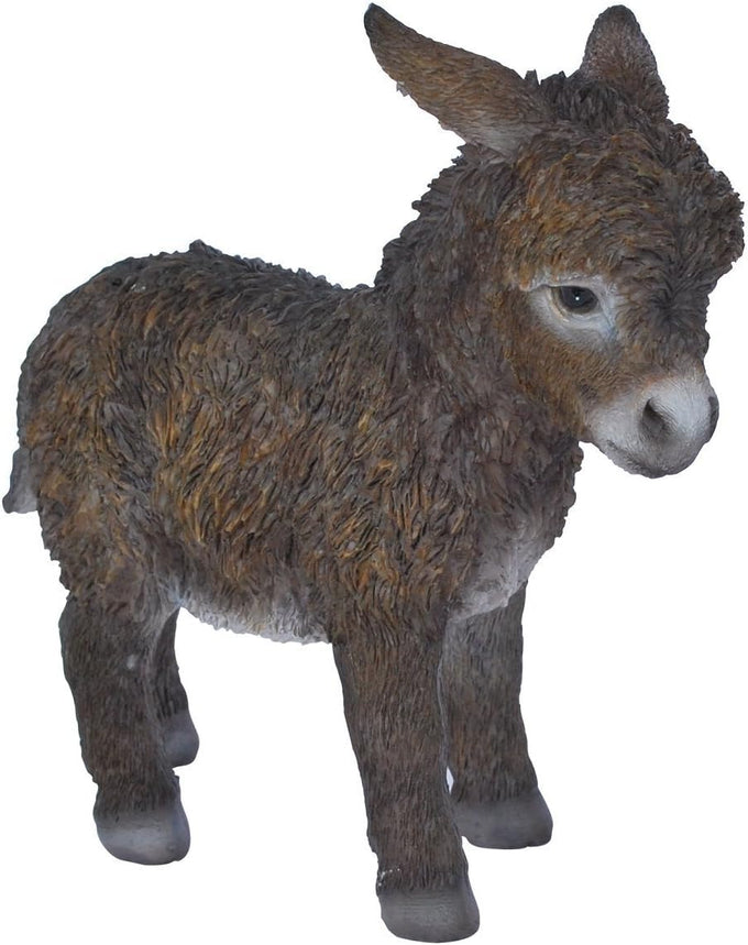Baby Donkey PlantPal – Mix F Keans Claremorris