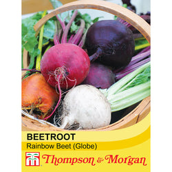 Beetroot Rainbow Beet Keans Claremorris