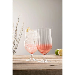 Erne Craft Beer and Cocktail Glass Pair Blush with tulip shape and elegant Erne pattern – Keans Claremorris.