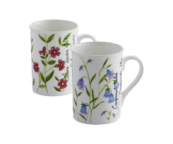 Botanical Assorted Fine China Mugs 30cl Keans Claremorris