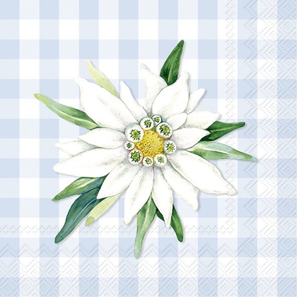Edelweiss & Gentian light blue cocktail napkins, 20-pack, 25x25 cm, eco-friendly, biodegradable tissue – Keans Claremorris