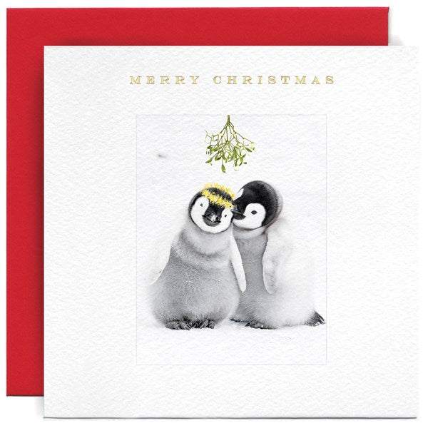 Cuddling Penquins Card