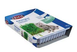 Cat Grass Dish 100g - grow-your-own grass seed, soft, vitamin-rich, ideal for kittens, from Keans Claremorris