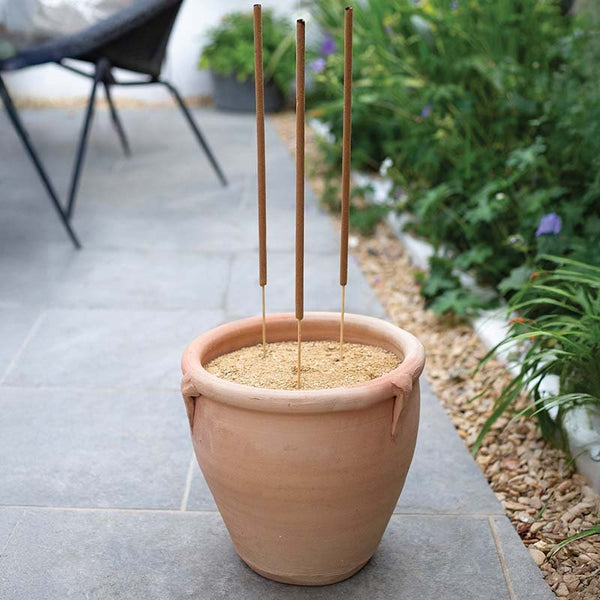 Citronella Incense Sticks 12pk Keans Claremorris