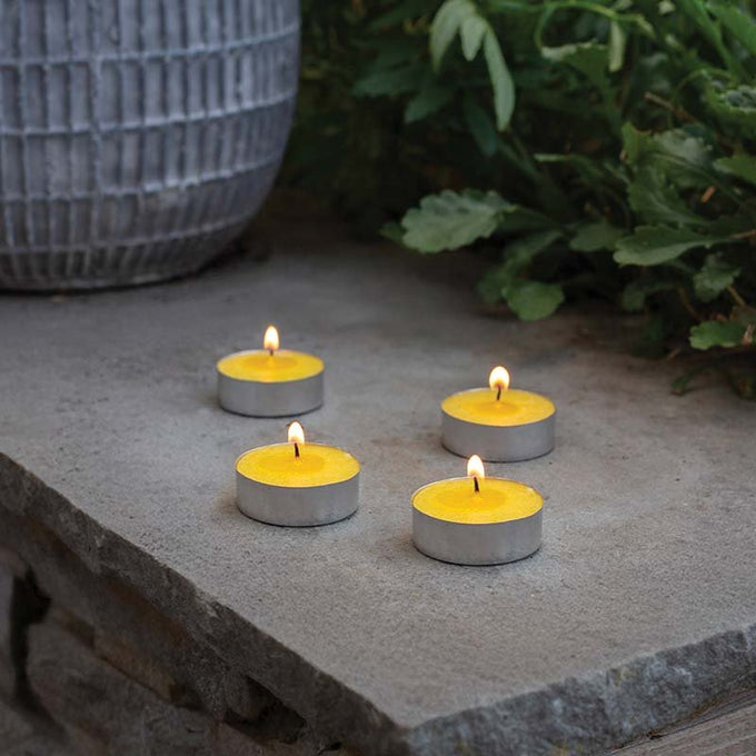Citronella T-Lights 50pk Keans Claremorris