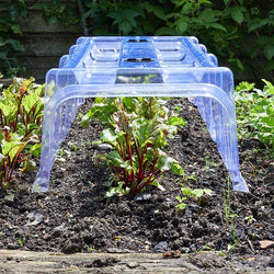 Clear Cloche Keans Claremorris