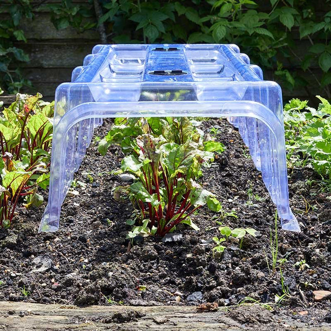 Clear Cloche Keans Claremorris