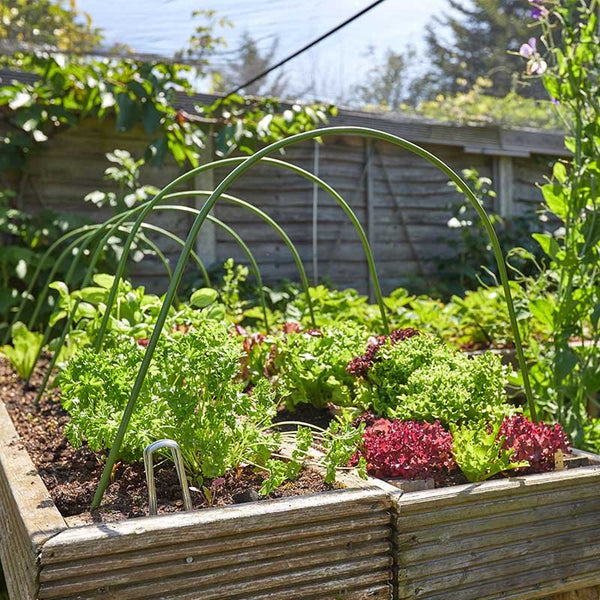 Cloche Hoops Keans Claremorris