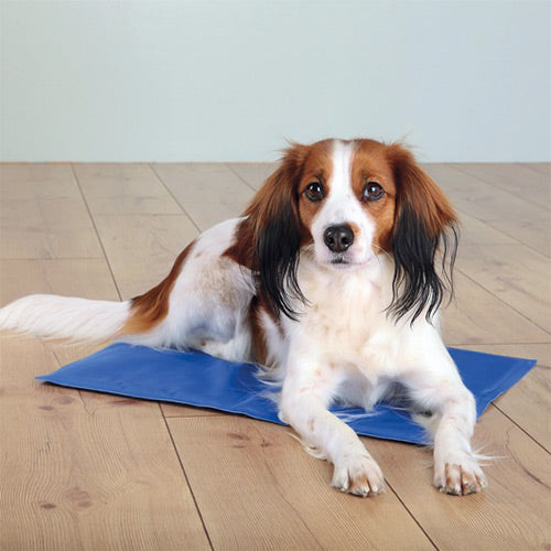 Extra-large blue cooling mat for dogs, self-cooling gel, non-toxic, reusable, ideal for travel and hot days – Keans
