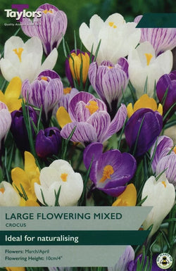 Crocus Mixed Bulbs Keans Claremorris