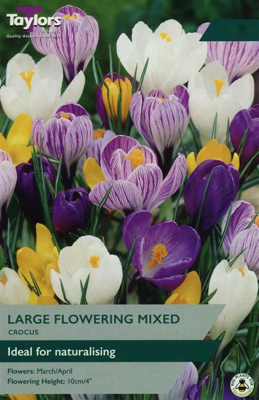 Crocus Mixed Bulbs Keans Claremorris