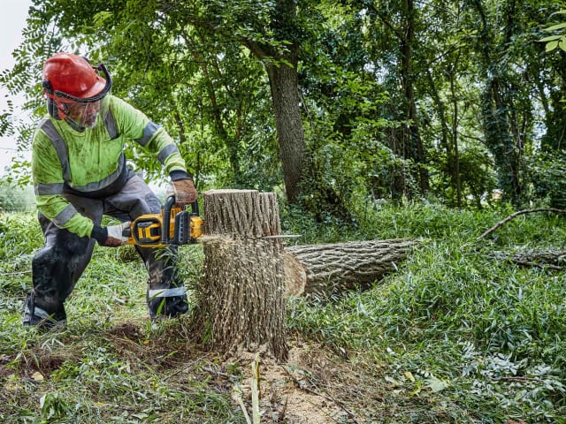 DEWALT XR FlexVolt 54V Chainsaw 45cm Bar with 9.0Ah Li-ion Battery - Powerful Cordless Saw | Keans Claremorris