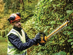 DEWALT XR 18V Pole Hedge Trimmer with 5.0Ah Li-ion Battery - Powerful Cordless Trimming | Keans Claremorris