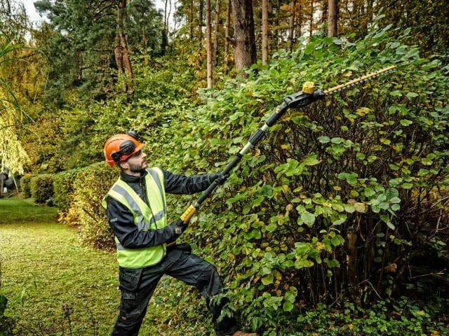DEWALT XR 18V Pole Hedge Trimmer with 5.0Ah Li-ion Battery - Powerful Cordless Tool | Keans Claremorris