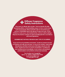 Torc Signature Large Diffuser with Spiced Cinnamon & Clove fragrance, aromatic home decor from Keans Claremorris