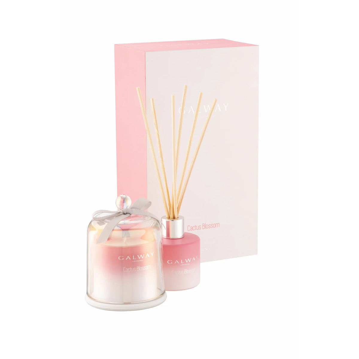 Cactus Blossom Gift Set with reed diffuser and bell jar candle, fresh fruity tropical scent, beautifully packaged by Keans