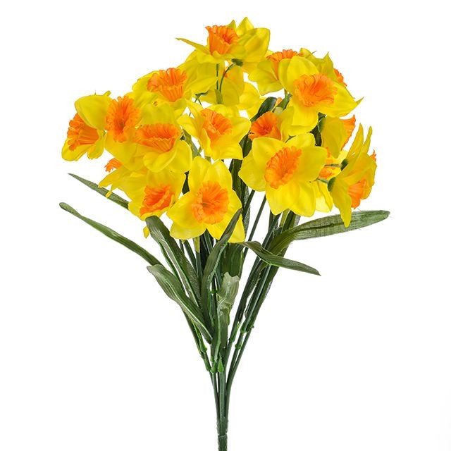 Daffodil Bush Two Tone Yellow Keans Claremorris