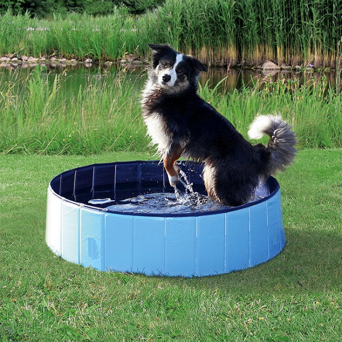 Large dog swimming pool for pets, durable and spacious | Keans Claremorris