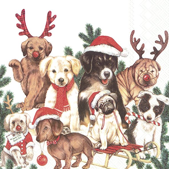 Dog - Mas Lunch Napkins Keans CLaremorris