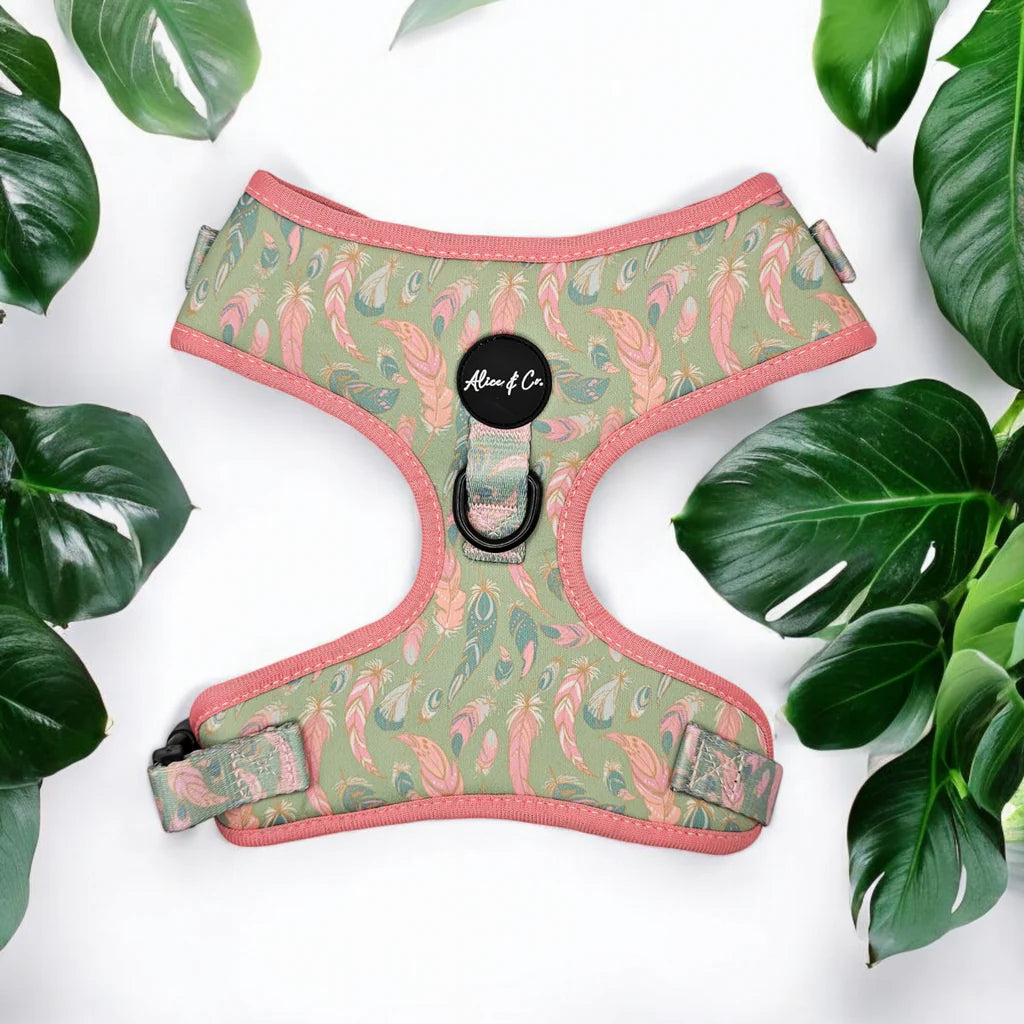 Alice & Co Dream Catcher Harness Keans Claremorris
