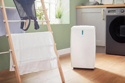 Dimplex 20L Dehumidifier EVERDRI20EL in White/Light Grey, efficient moisture removal, available at Keans Claremorris