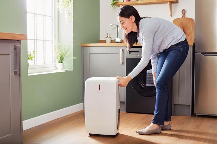 Dimplex 20L Dehumidifier EVERDRI20EL in White/Light Grey, efficient moisture removal, available at Keans Claremorris