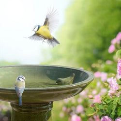 Ceramic Bird Bath Green 47cm