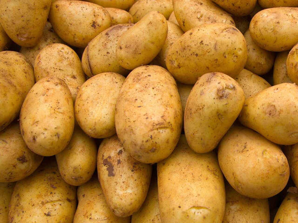 First Earlies Premiere 10Kg Bags Keans Claremorris